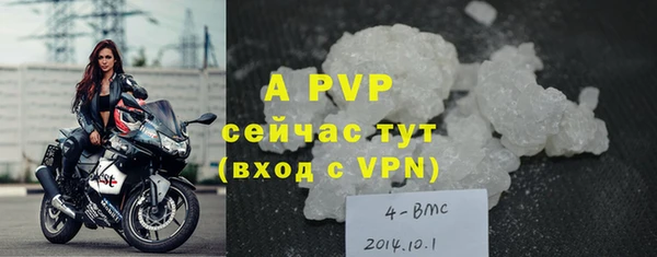 сатива Бугульма