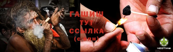молекула духа Бородино