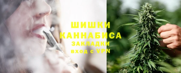 молекула духа Бородино