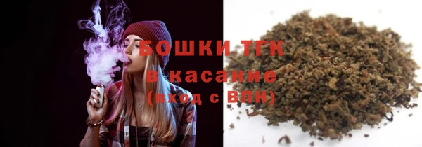 молекула духа Бородино