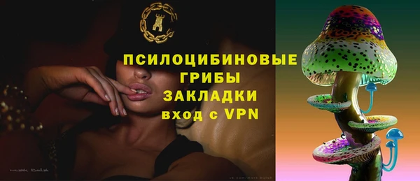 молекула духа Бородино