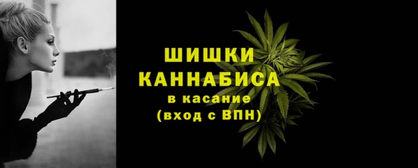 сатива Бугульма