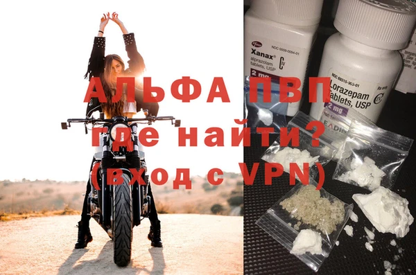 молекула духа Бородино