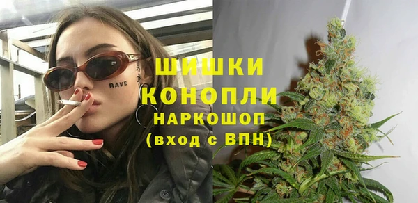 молекула духа Бородино