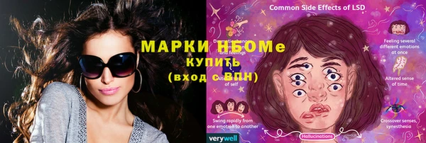 молекула духа Бородино