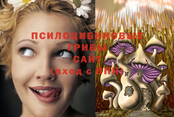молекула духа Бородино