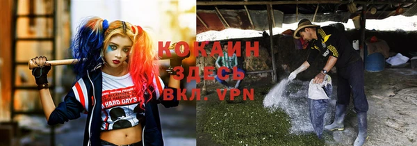 сатива Бугульма