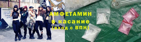 молекула духа Бородино